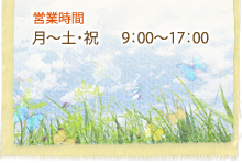 営業時間 月～土・祝 9:00～17:00